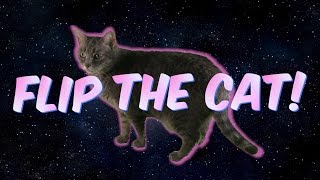 Video thumbnail of "Flip the Cat!!!"