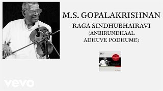 ms gopalakrishnan raga sindhubhairavi anbirundhaal adhuve podhume pseudo video