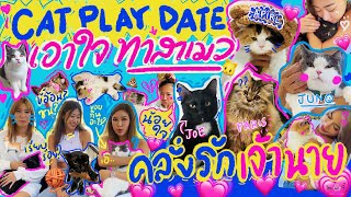 ไหนเล่าซิ๊ l CAT PLAY DATE ~ ใครตกเป็นทาสแมว คลั่งรัก/น้อยใจเจ้าเหมียว ต้องดู ! 🥹🐱💗🫶🏻• vlog 150