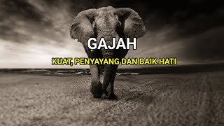 GAJAH