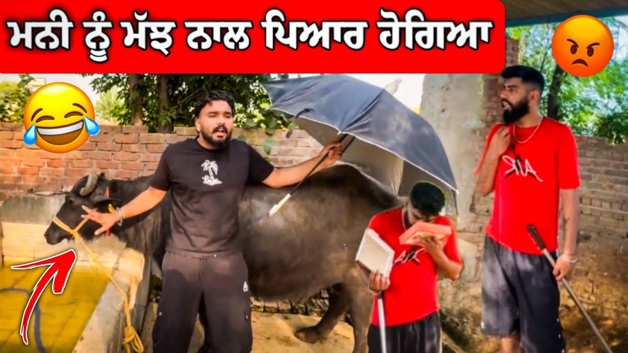 ਮਨੀ ਨੂੰ ਮੱਝ ਨਾਲ ਪਿਆਰ ਹੋਗਿਆ 😂😂 ਗੋਪੀ ਨੂੰ ਸੁੱਟੀ ਆ ਕੰਮ ਤੋਂ 🤣 #manishoker #gopishoker #funny