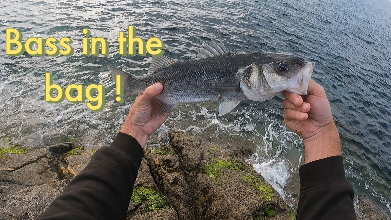 Lure fishing for bass | match the hatch | sidewinder skerries eel
