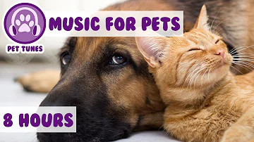 8 HOURS OF PET MUSIC! Relaxing Music to Soothe and Comfort Pets and Help Calm and Reduce Anxiety! 🐹