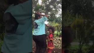 Fokus Baju Biru Sah  kaimanapapuabarat