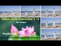 Falun dafa falun gong exercises 15 practice by easy mirroring opposite genders 1h15mins