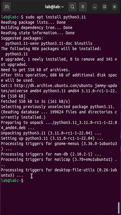 How to install Python | Ubuntu 22 - YouTube