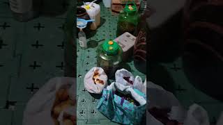 효소와 담근술 먹거리 풍부한 저온 저장고. 라윤씨의 선물