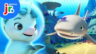 Searching For Shark! 🦈 Not Quite Narwhal | Netflix Jr