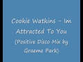 Video thumbnail for Cookie Watkins - Im Attracted To You (Positive Disco Mix).wmv