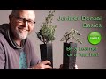 Bonsaify  juniper bonsai basics succeeding as a student or a teacher