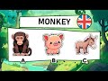 ¡Aprende INGLÉS y DIVIÉRTETE! +50 Animales en 14 Minutos 🐾 | Tutorial de Inglés para Todos