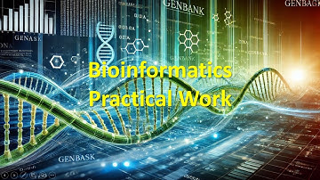 Bioinformatics Practical Work 2