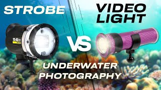 Strobes vs. Video Lights | The Best Light For Underwater Photography #underwaterphotography
