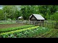 РЕКОРДЫ ИПОТЕКИ _ МИНЭКОНОМРАЗВИТИЯ РОССИИ УВЕЛИЧИВАЕТ НАЛОГИ ЗА СЧЕТ САРАЙЧИКОВ Записки агента