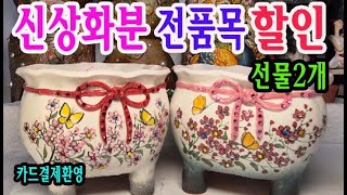 #신비화분(#신비의다육정원)- 7월의 첫날.. 오늘도 신상화분 할인과 선물2개 준비했어요
