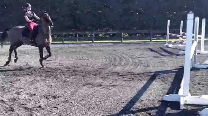 Tracey Kovacs lesson on Monty