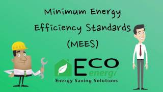 Minimum Energy Efficiency Standards