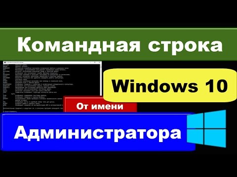 Командная строка от имени администратора Windows 10: как запустить CMD?