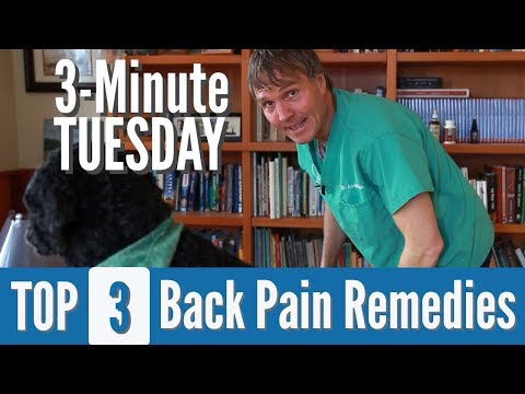 Video: Dog Arthritis Symptomer og Home Pain Remedies