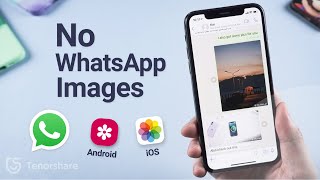 Best Way to Fix WhatsApp Images Not Showing in Gallery (Android/iOS) screenshot 3