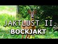 Bockjakt Jaktlust II (Hunting roedeer)