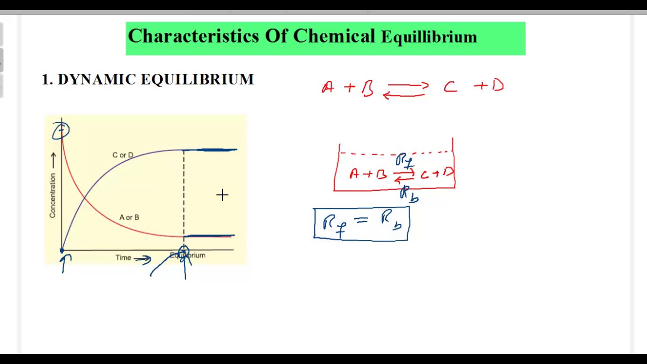 Characteristics Of Chemical equilibrium