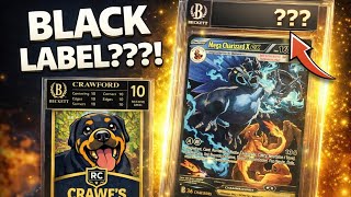 Famous Mega Charizard X EX SIR Grading Reveal Profile