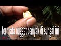 Nemu emas di sungai - gold nugget - metal detector nokta gold kruzer indonesia