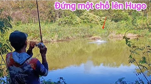 Câu cá lóc_Khu mới lên hàng đụng Hugo thật phê @Hữunghị tv