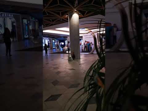 你乖乖在这里 乖乖等我回来 不可以离开去 不可以跟人走 不可以哭闹跑 坏人捉的话喊超人粑粑救你 教导告诉宝贝万一走失的话 一定要在原地等待我们来找你