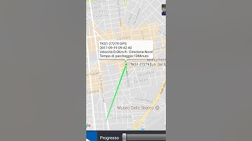 Localizzatore GPS Online - Tracciamento Real Time