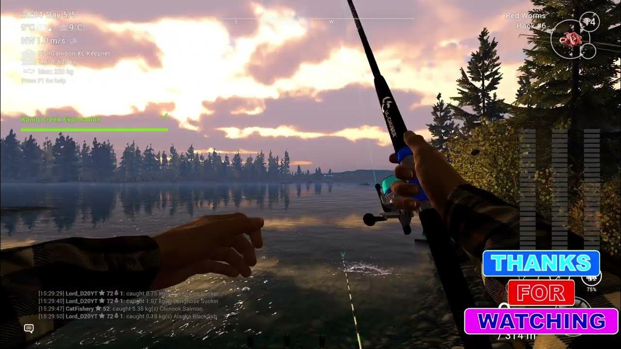 Fishing How to Catch Alaska Blackfish and Longnose Sucker 