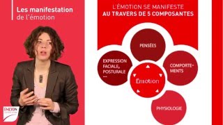 L'#intelligenceémotionnelle en 20 minutes