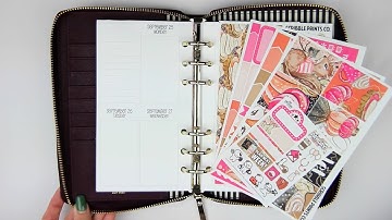 Rewind PWM | Pumpkin Spice (ScribblePrintsCo)