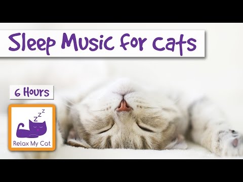 6-hours-of-cat-music-to-help-your-cats-and-kittens-sleep-🐱-#sleep12