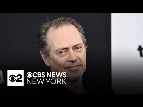 Steve Buscemi punched while walking in New York City