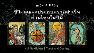 Pick a Card คุณจะประสบความสำเร็จด้านไหนในปีนี้ | Hui Mayflower