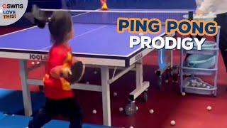 Toddler's insane ping pong skills 😲🏓 | LOVE THIS! by SWNS 137 views 12 hours ago 43 seconds