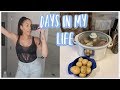 Days In My Life // Easy Crockpot Recipe & Zara Shop With Me