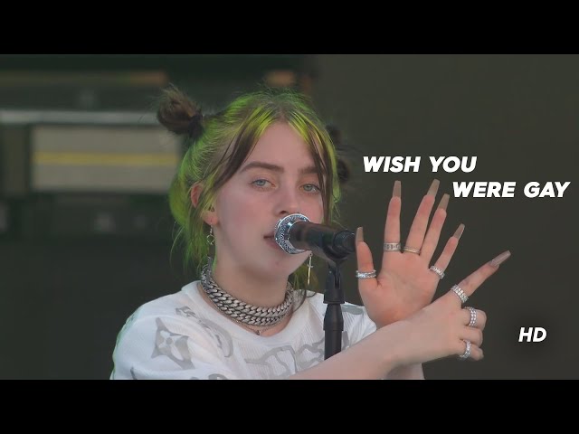 Billie Eilish - Wish You Were Gay Live At Music Midtown Festival 2019 (HD 50fps) class=