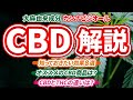 【CBD特集 | 知らなきゃ損】THCとCBDの違い・様々な健康・美容効果について解説【大麻由来成分】