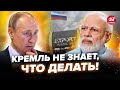 БЛАНТ: Зненацька! Індія КИНУЛА РФ?! У Путіна проблеми із нафтою. Все стає тільки ГІРШЕ