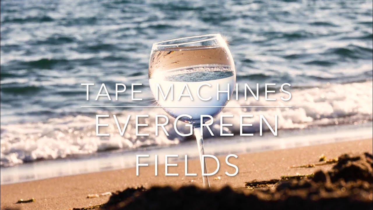 TAPE MACHINES EVERGREEN FIELDS (MUSIC VIDEO) YouTube