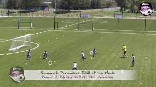 Newcastle Permanent Skill of the Week - Session 7: Striking the Ball