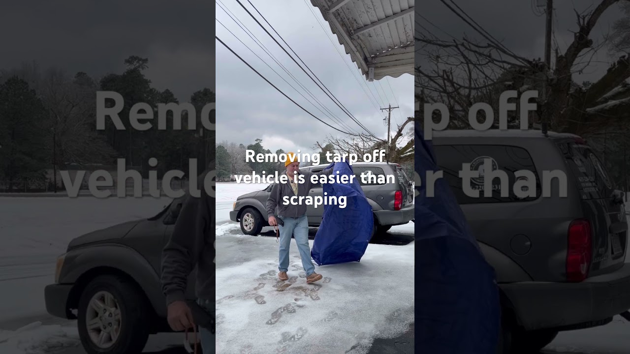 Снять брезент с музейного автомобиля гораздо проще, чем потом очищать его от мусора перед выездом...