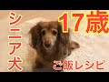 【もぐもぐたいむ】17歳シニア犬の手作りご飯レシピつき、むしゃむしゃ、ひたすら食べる。