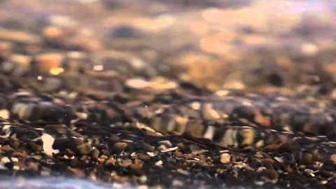 Beachfront B Roll  Shoreline Close Up Free to Use HD Stock Video Footage 720p Video Only