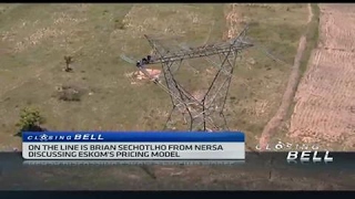 Celebrity How does Eskom's pricing model work? Wealth