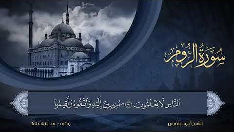 سورة الروم مكتوبة للشيخ أحمد النفيس / المصحف المرتل كاملا