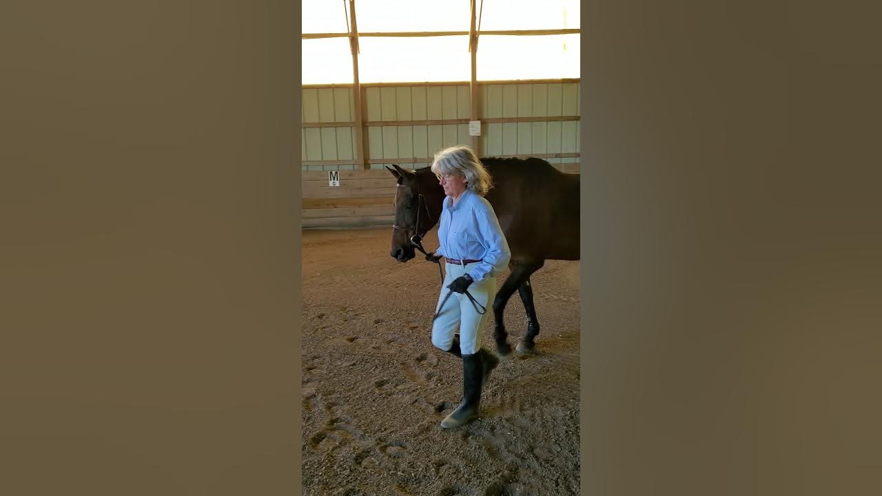 Hunter Inhand class 4 YouTube